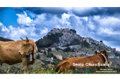 Geraci_Siculo_1_Concorso_fotografico_Transumanza_2017_06